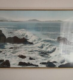 1/2 Share Therapy Room – Kapiti EMDR and Therapy Centre (Paraparaumu)